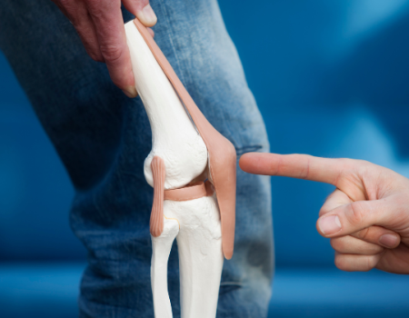 Knee